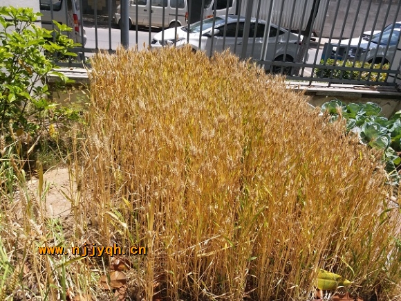 20190520_114138.jpg