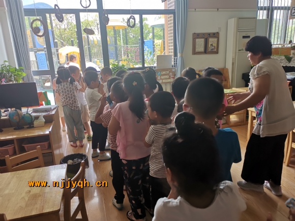 IMG_20190610_114914.jpg