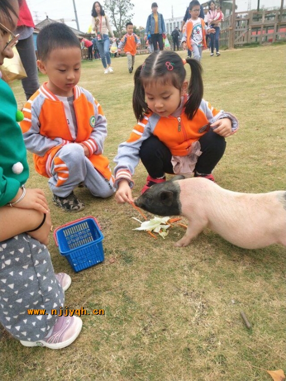 QQͼƬ20191012144235.jpg