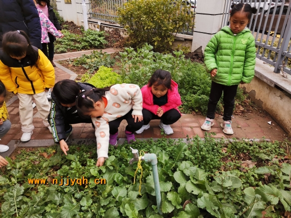 IMG_20191223_114812.jpg