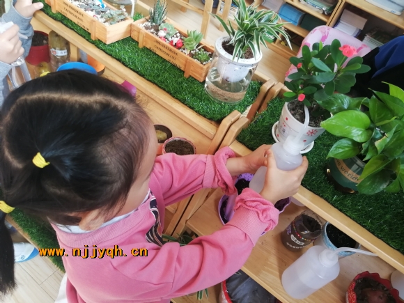 QQͼƬ20201014135416.jpg