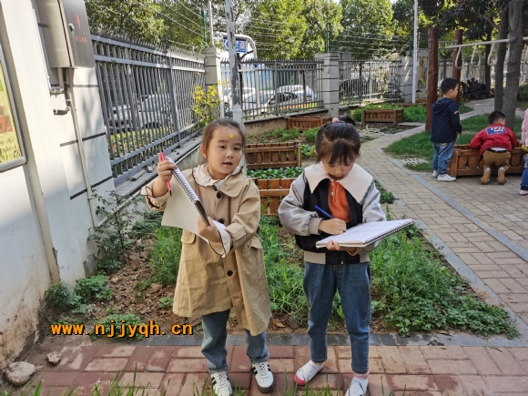 IMG_20201106_114622.jpg