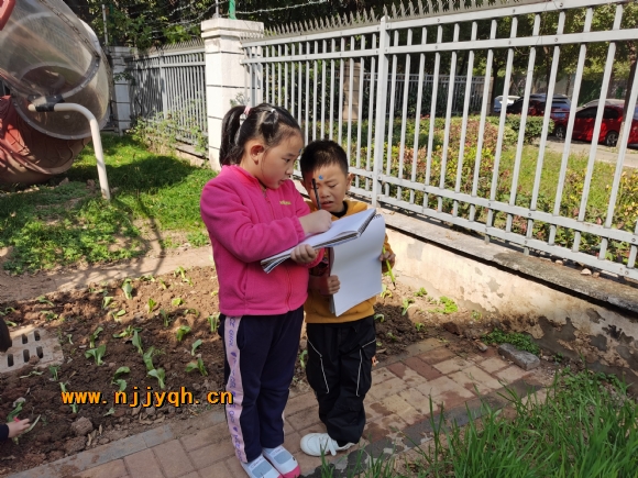 IMG_20201106_114509.jpg