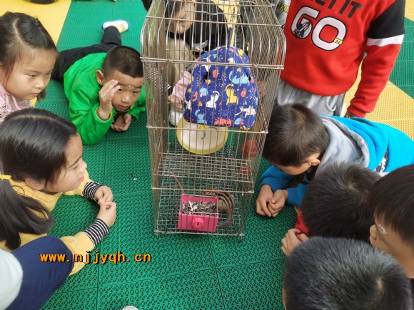 IMG_20201119_114933.jpg