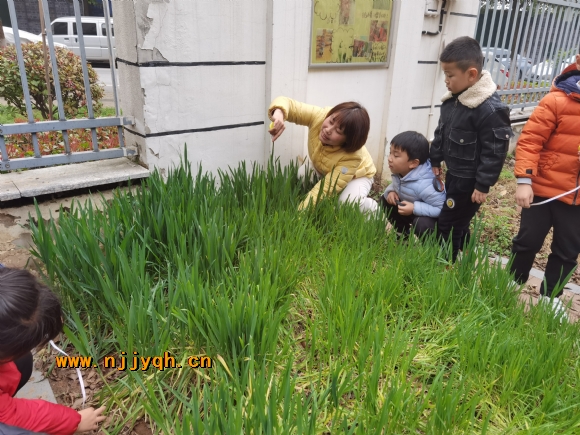 IMG_20210305_114252.jpg