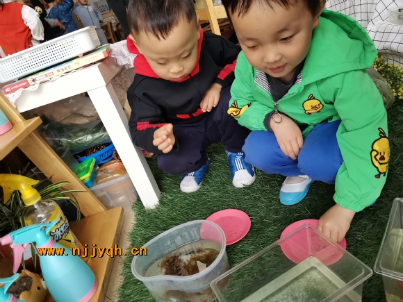 1620807312365.jpg