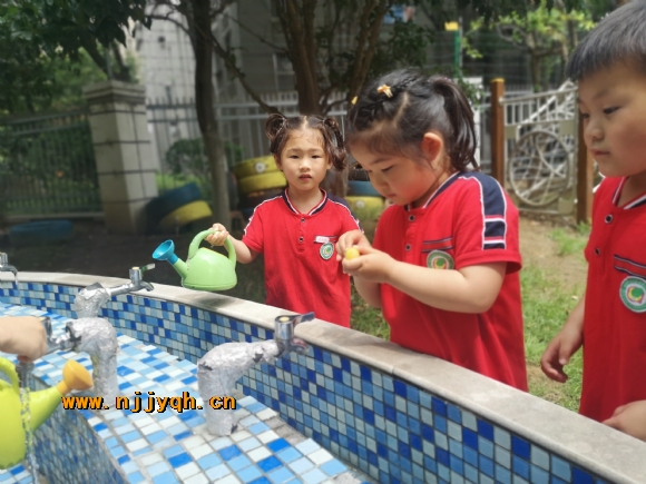 IMG_20210524_103153.jpg
