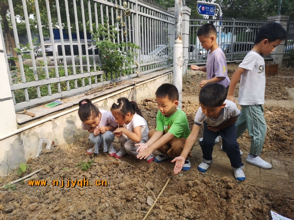 4c1079e1-ac81-4de0-9af4-0a7a68d2e3e1.jpg