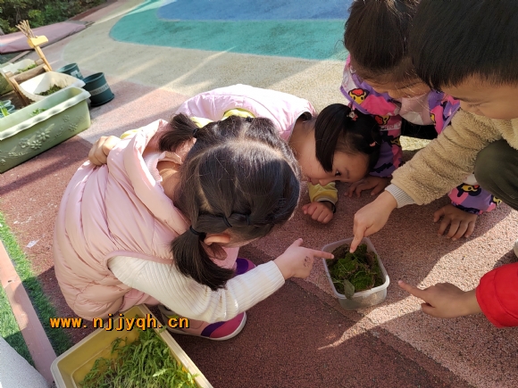 IMG_20211119_085550.jpg