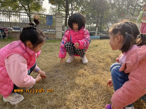 a1493bcade14c4ccac8f92f78d44f55.jpg