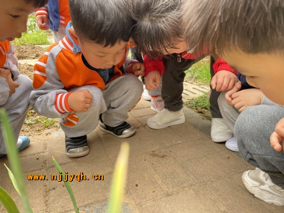 4CCC3E1ABC04B90129EC8AA1A9D6C456.png