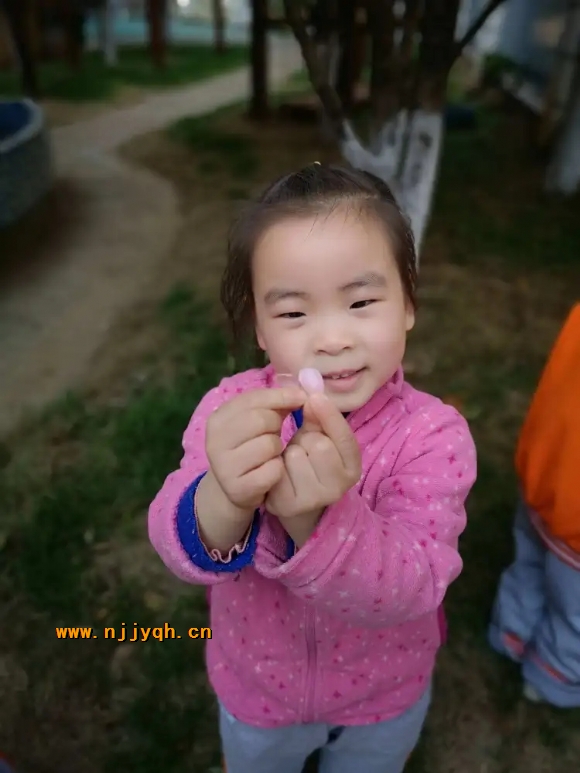 8c261d61-a3d9-49d4-a628-90879d345a52.webp.jpg