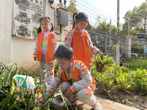 6092a21aa9949d09c20f413cb0ec2b71.webp.jpg
