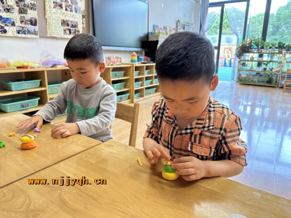 d2447c543761b85ca254d4feaec65451.jpg