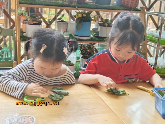 IMG20250428105411.jpg