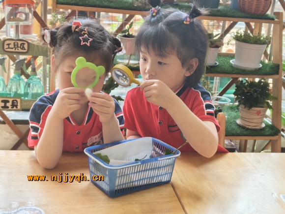 IMG20250428105230.jpg