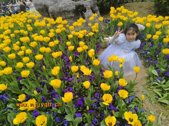 IMG_8733.PNG