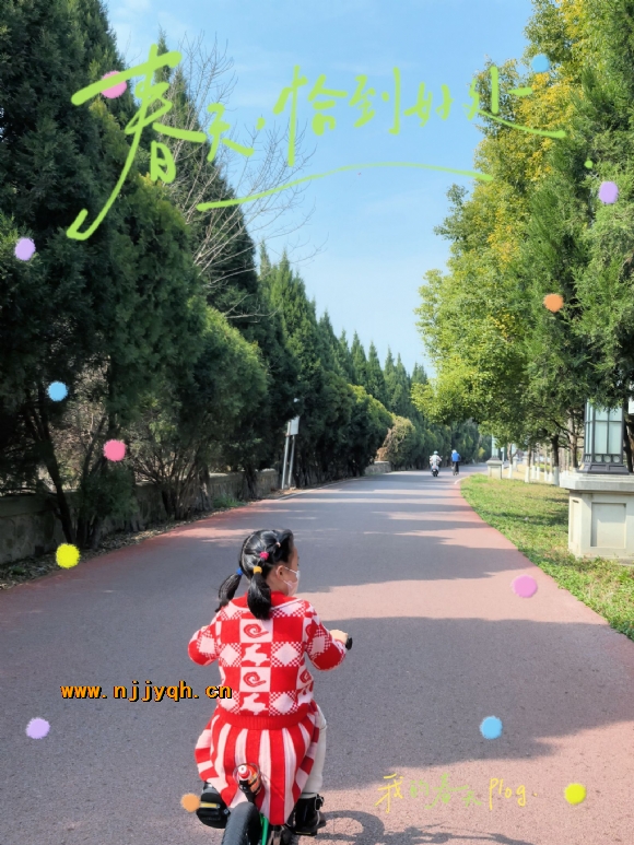 IMG_0318.PNG