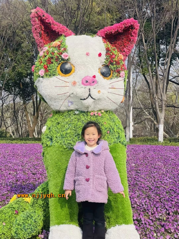 IMG_0311.PNG