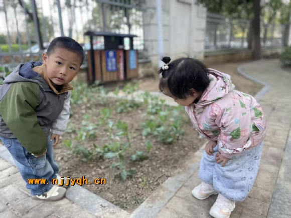 ������382c1bacaa27b3fb9af0a40bfaa32848.jpg