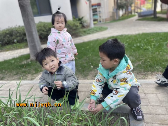 ������795d4282b72c86827a761de09fb5b878.jpg