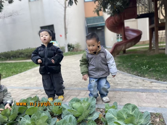������d2b1584e8bcafa038b9a90a010082060.jpg